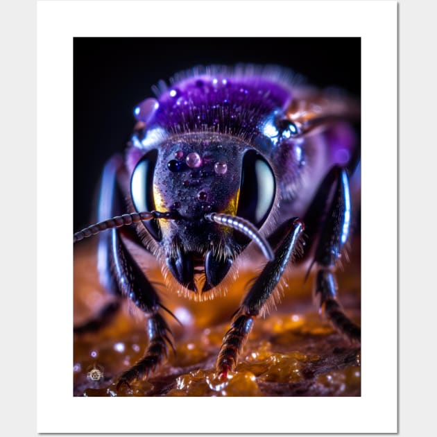 Wild Bee for World Bee Day 2023 Wall Art by allumfunkelnd by Patrick Hager